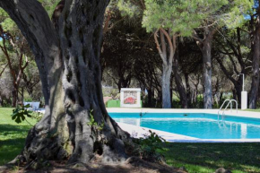 Alojamientos La Tortuga, Chiclana De La Frontera